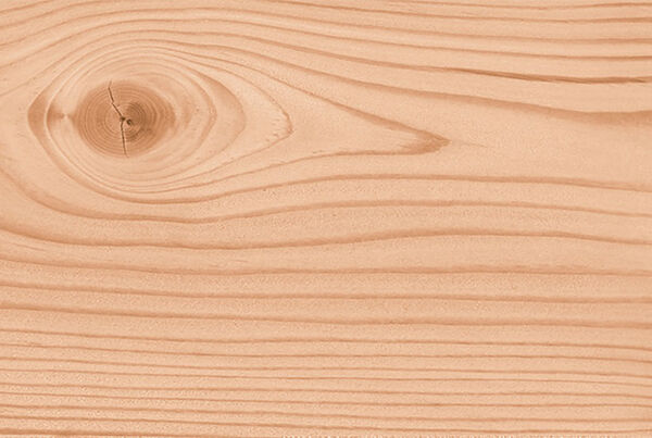 Wood species for Osmo Verto privacy screens - untreated Douglas Fir