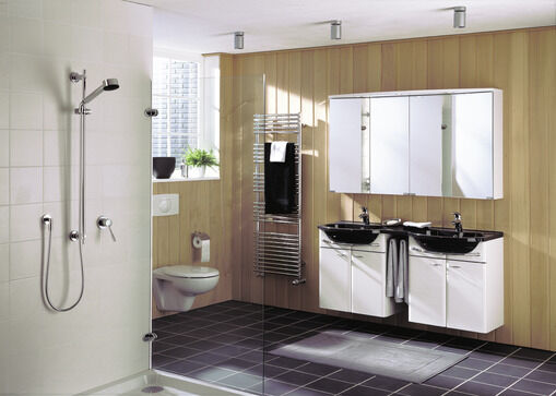 Holzprotektor Ambiente