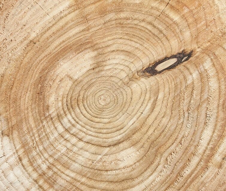 Close-up view of high-quality timber from which Osmo flooring, fencing, decking and cladding is produced