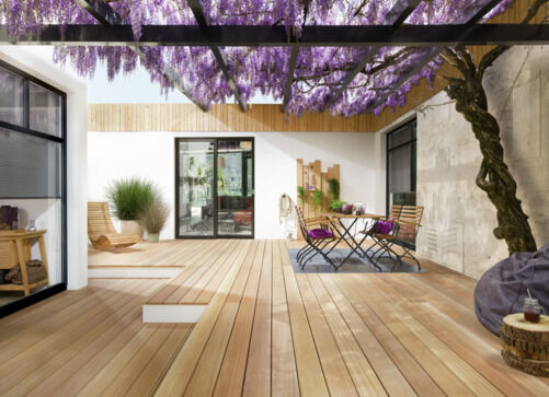 Hirnholz-Wachs Ambiente